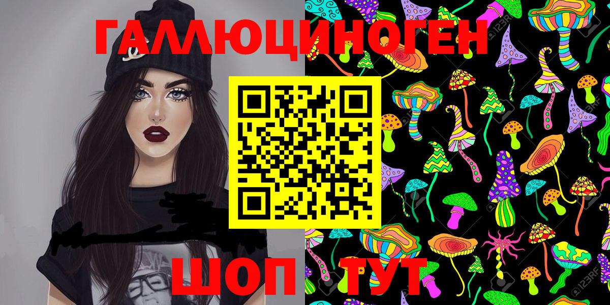 Вольск  магазин продажи   Вход с VPN  Псилоцибиновые грибы Psilocybe 