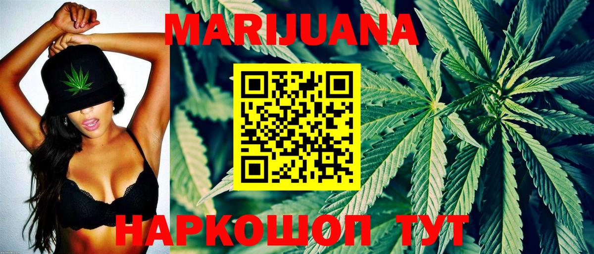 Бошки марихуана сатива  Канабис план  Вход с VPN  Конопля Bruce Banner  Вольск 
